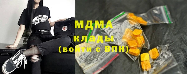 мдпв Богородск