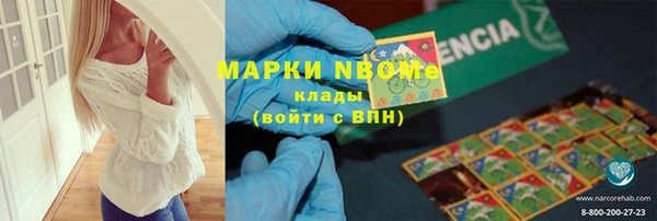 мдпв Богородск