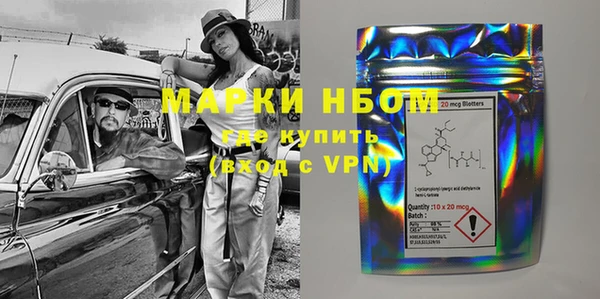 мдпв Богородск