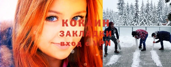 мдпв Богородск