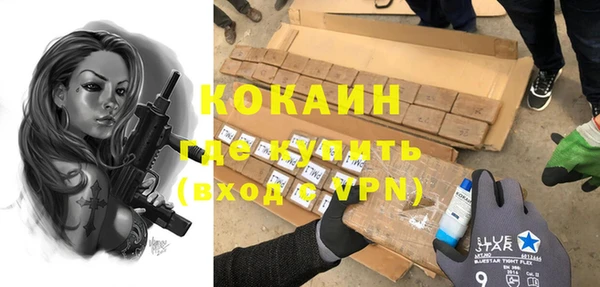 мдпв Богородск