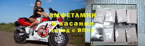 каннабис Богданович