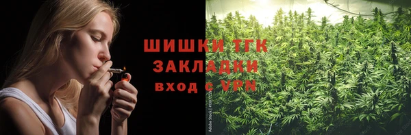 мдпв Богородск